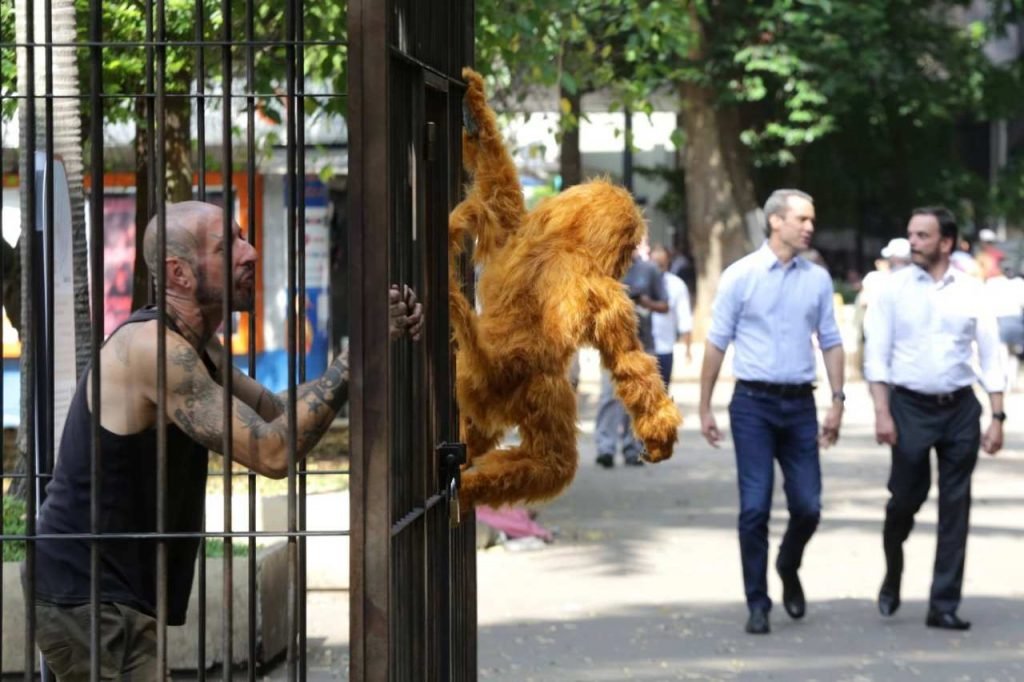 Uma jaula na Avenida Paulista: intervenção artística defende animais