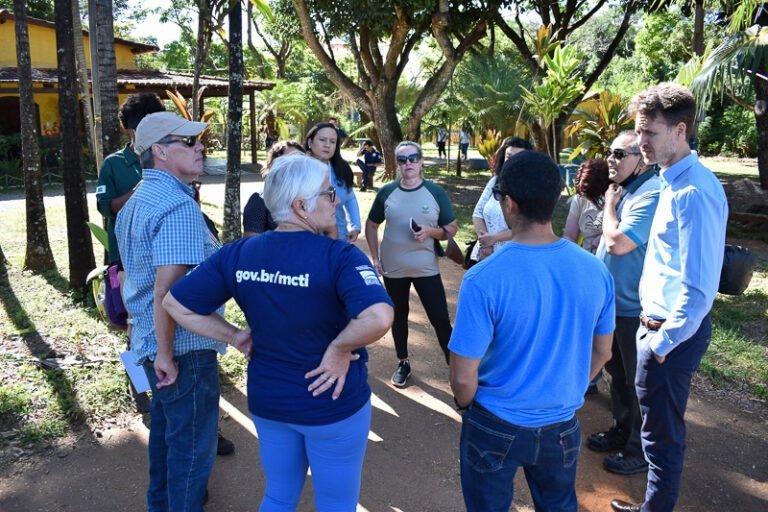 Pessoas reunidas em círculo e árvores ao fundo