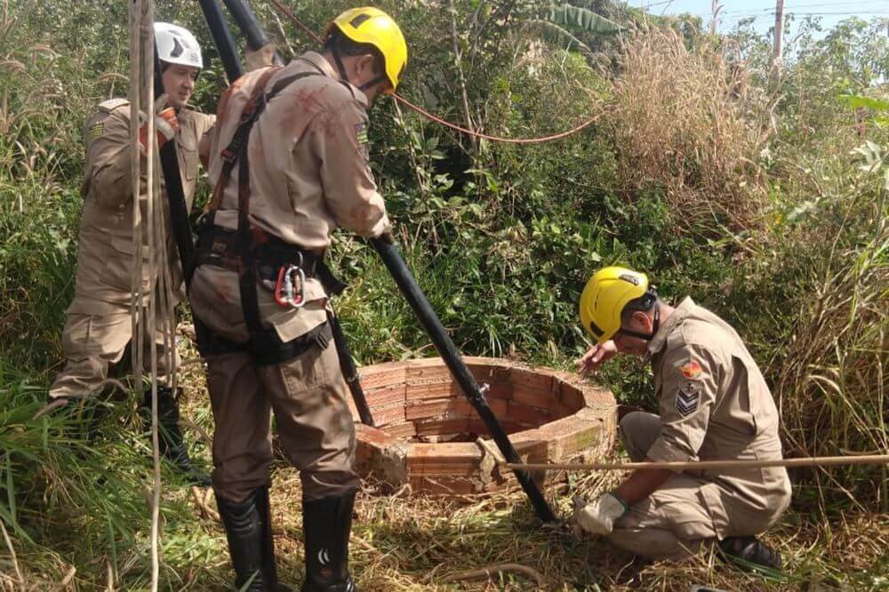 Bombeiros resgatam criança de cisterna no meio do mato em Aparecida de Goiás (GO) - Metrópoles