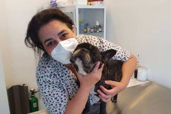 Cachorro com leishmaniose é salvo de eutanásia no DF - Metrópoles