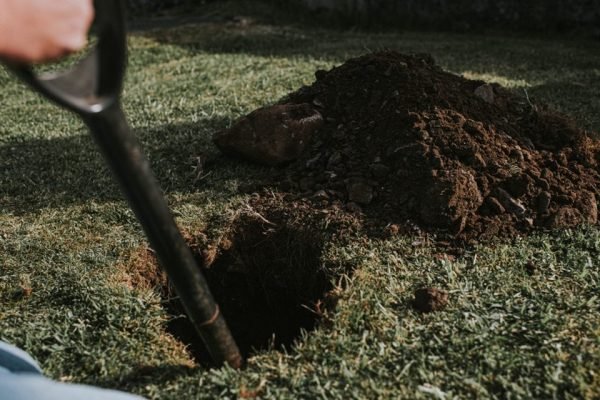 Cavar enterrar pá cavando