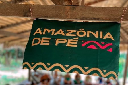 campanha amazônia de pé