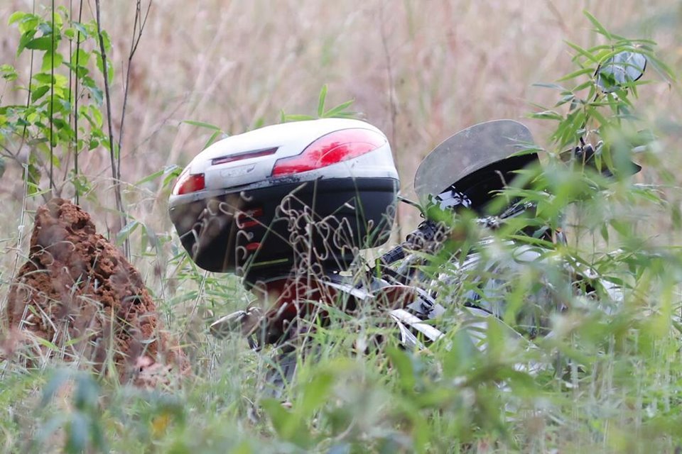 Motocicleta em meio a matagal
