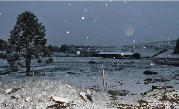 Neve-ao-vivo-santa-catarina