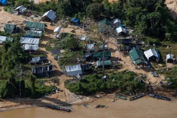 Governo libera saída por barcos de garimpeiros da Terra Yanomami |  Metrópoles