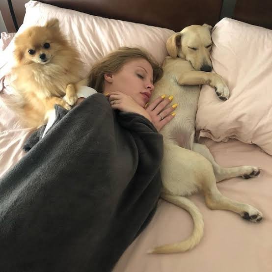 Após contrato milionário, pets de Luiza Sonza roubam cena com crachá 2