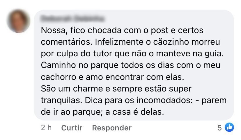 Moradores fazem comentários contra e a favor sobre capivaras em parque de Águas Claras no Facebook - Metrópoles
