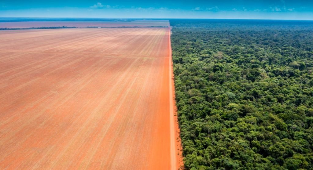 Colniza registra maior área contínua desmatada na Amazônia em 2022 :  Instituto Centro de Vida