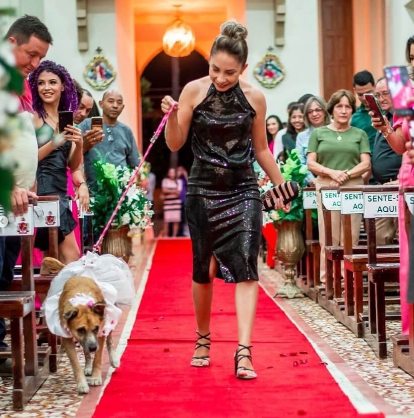 Cachorro entrando no casamento