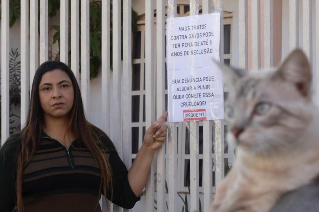 mulher apontando para aviso com gato em primeiro plano