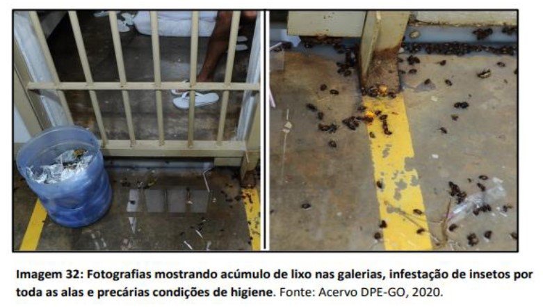 Insetos infestam Unidade Prisional Especial de Planaltina de Goiás (GO)