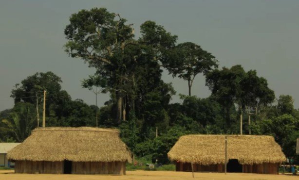 Foto colorida de terra indígena no Pará - Metrópoles