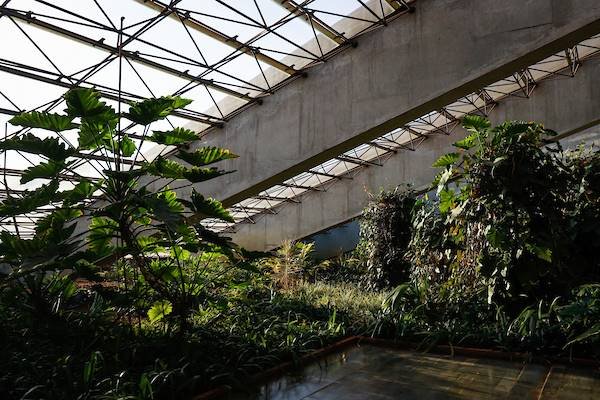 Jardim interno do Teatro Cláudio Santoro, mais conhecido como Teatro Nacional, localizado próximo à rodoviária de Brasília - Metrópoles