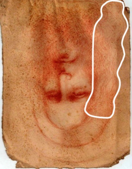 santo sudário jesus da vinci4