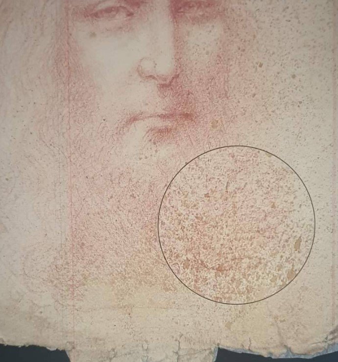 santo sudário jesus da vinci4