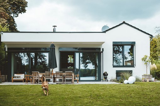 Saiba Como Decorar Casinha de Cachorro