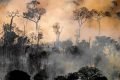 Incêndio Florestal