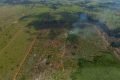 Brasil teve 21,3 mil hectares de florestas desmatadas no 1º semestre