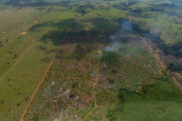 Imagem colorida mostra desmatamento na Amazônia / Metrópoles