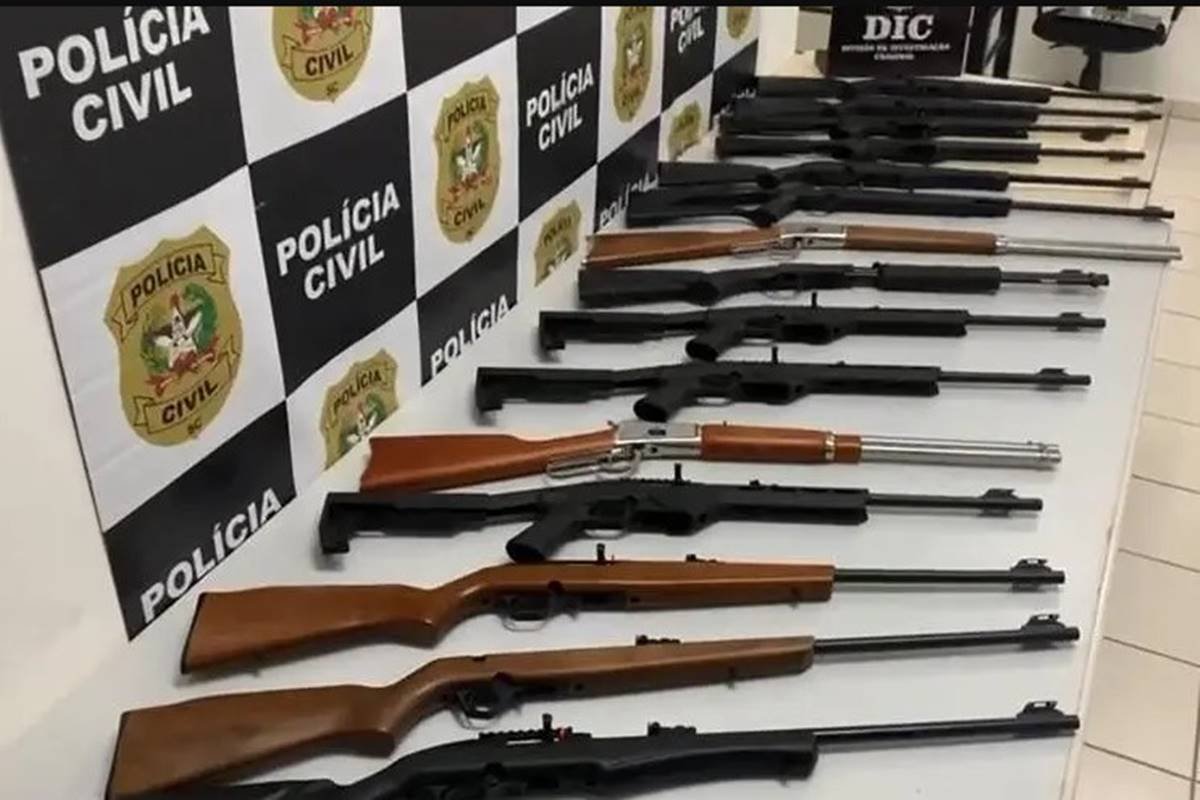 Arsenal: 5 armas e quase 6.500 munições são apreendidas em casa no Paraná -  RIC Mais