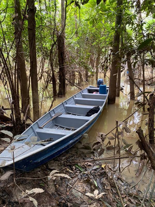 Região do Vale do Javari, onde o indigenista e o jornalista desapareceram