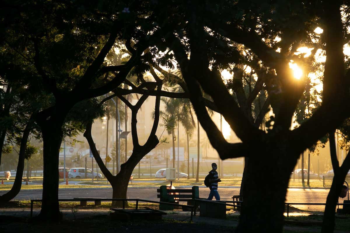 pessoas fazem esporte parque da cidade abre para atividade esportiva em período de pandemia