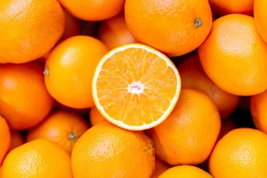 fotografia colorida de laranjas