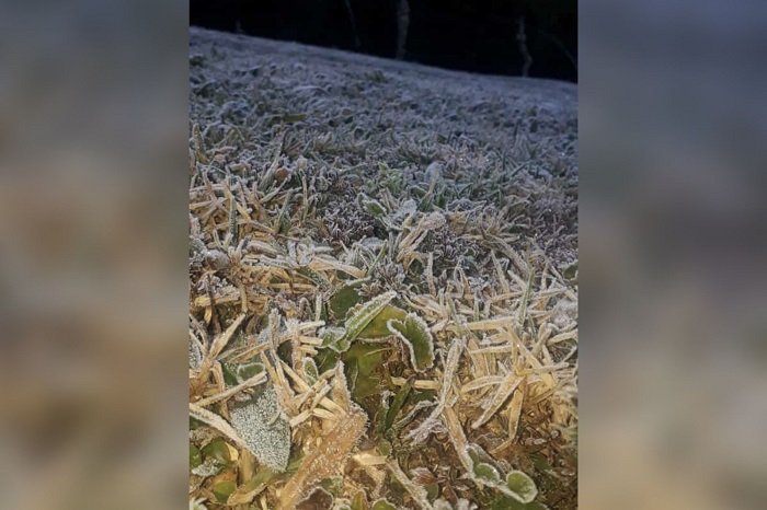 Parque Nacional do Itatiaia- Frio no RJ 8