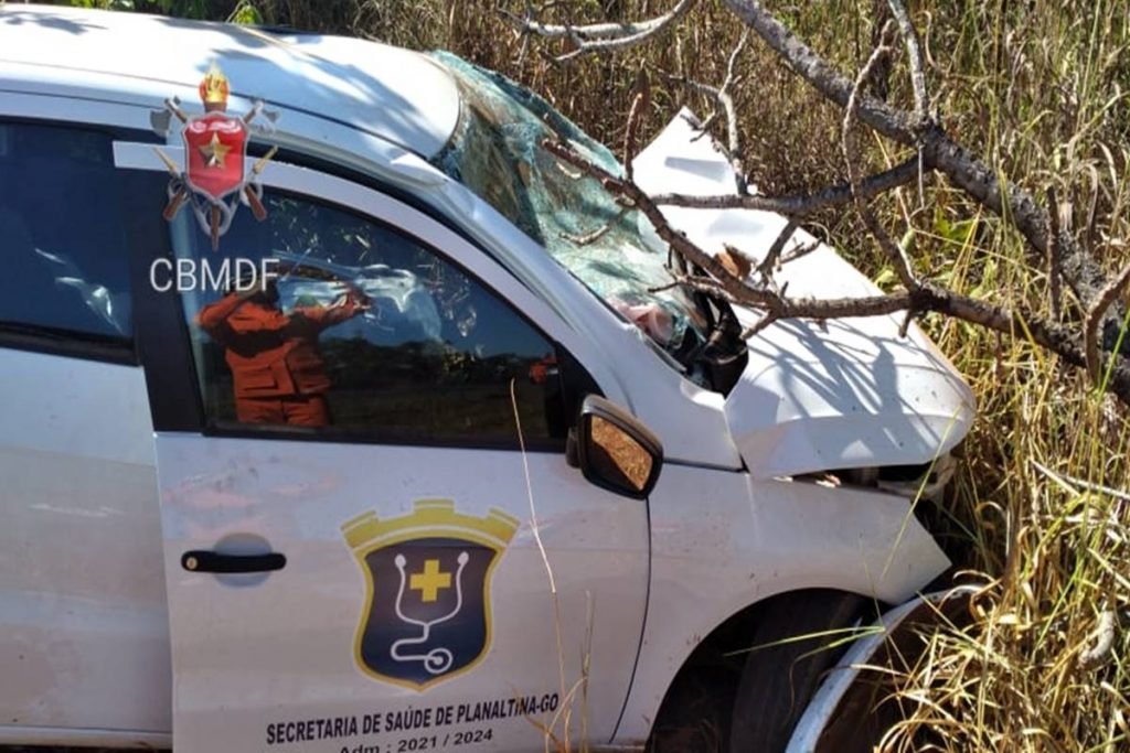 Carro branco parado em meio vegetação - Metrópoles
