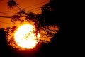 Foto colorida do sol