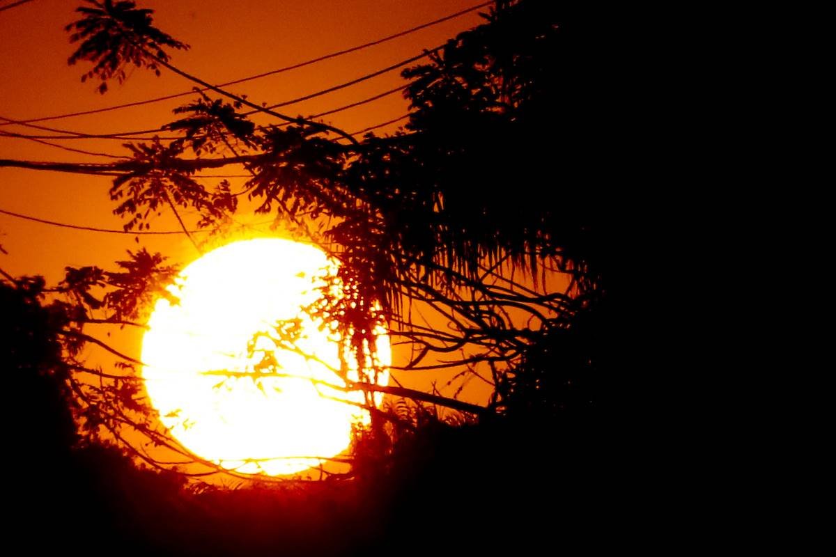 Foto colorida do sol em dia de calor - Metrópoles