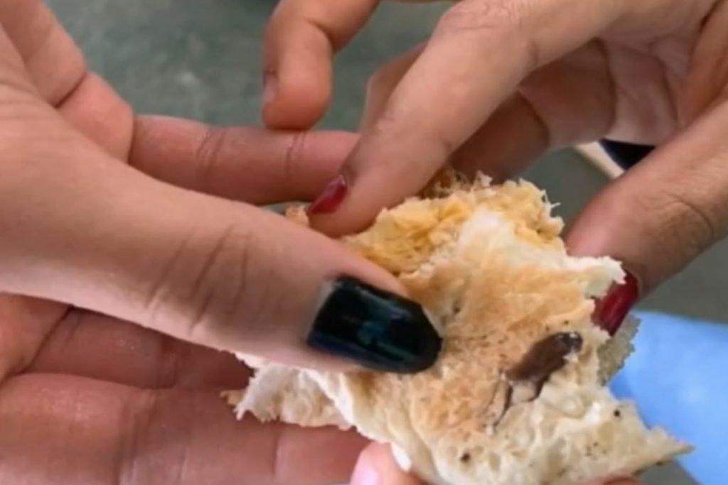 mãos com unhas coloridas seguram pão com barata dentro da massa
