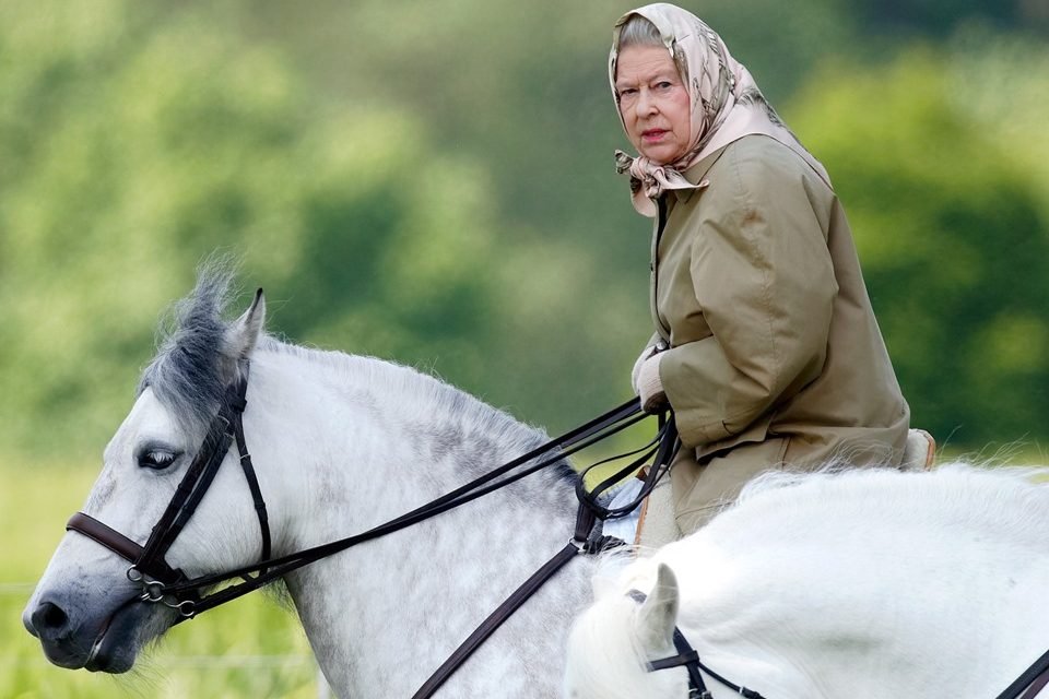 rainha cavalgando