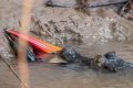 Pantanal sai do marasmo após tragédia com o Velho do Rio: entenda