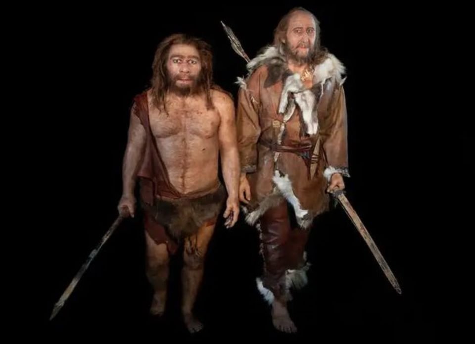 Bonecos de cera com representações do homo sapiens e neandertal - Metrópoles