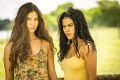 Foto colorida com elenco de Pantanal