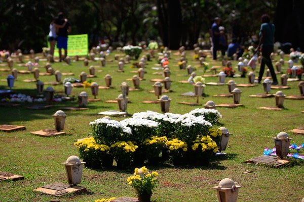 Dia de Finados terá alterações no trânsito próximo a cemitérios –  Departamento de Trânsito