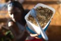 Insegurança alimentar atinge 345 milhões de pessoas no mundo