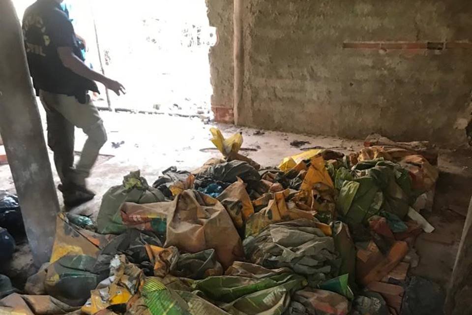 Animais mortos em sacos - Metrópoles