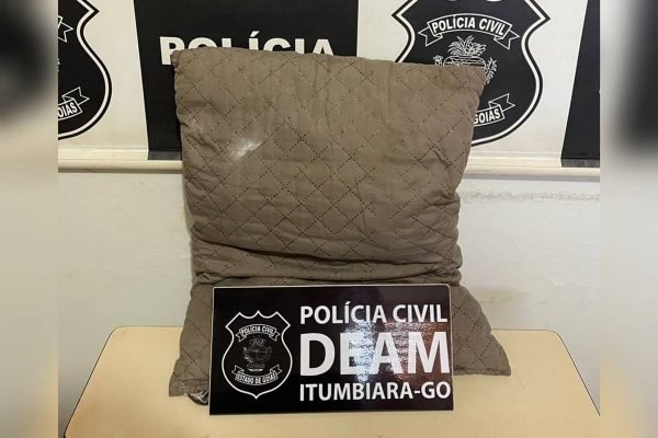 Travesseiro fotografado em Delegacia da Mulher após homem tentar matar mãe com o objeto e ser impedido por menina de 12 anos, em Goiás - Metrópoles