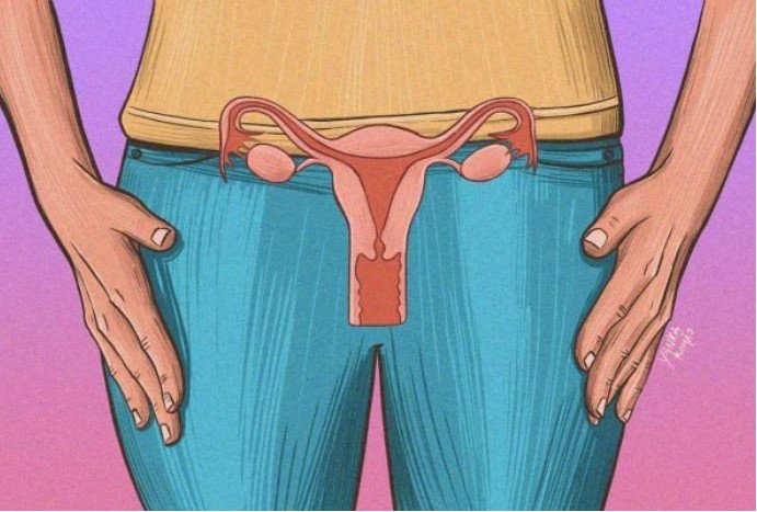 Ilustração do órgão reprodutor feminino - Metrópoles
