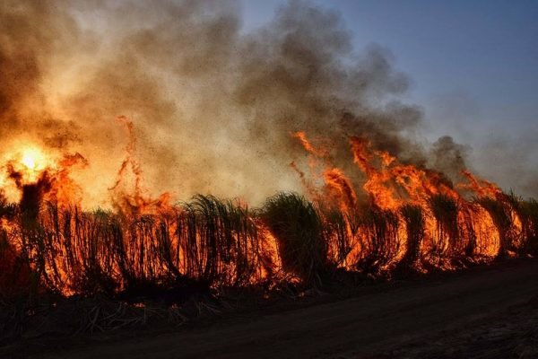 Incêndio em Palmas: vídeo mostra o avanço das chamas com as