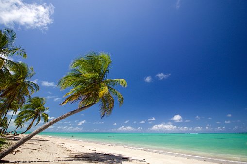 Maceió - turismo - viagem