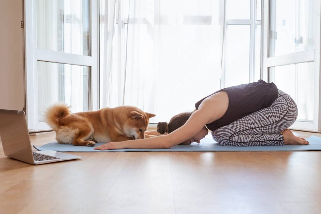 foto colorida de mulher com cachorro