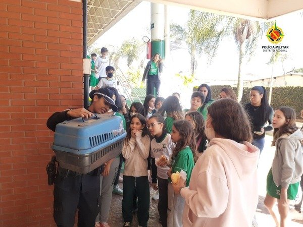 Alunos olham tucano resgatado pela PMDF