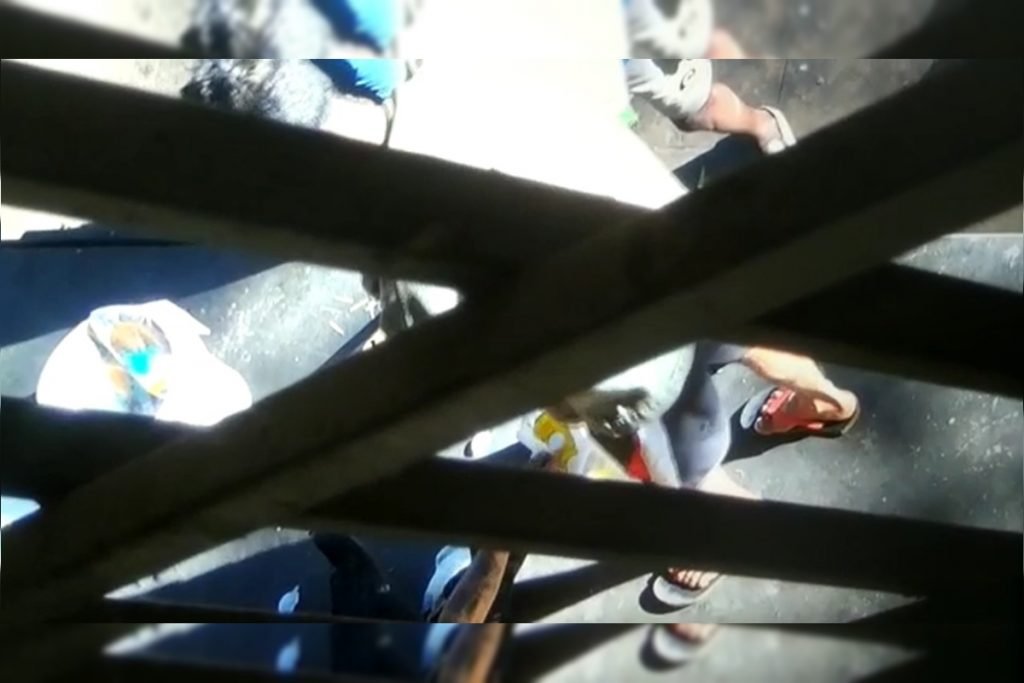 Homem de camisa branco deixa sacola de leite no chão