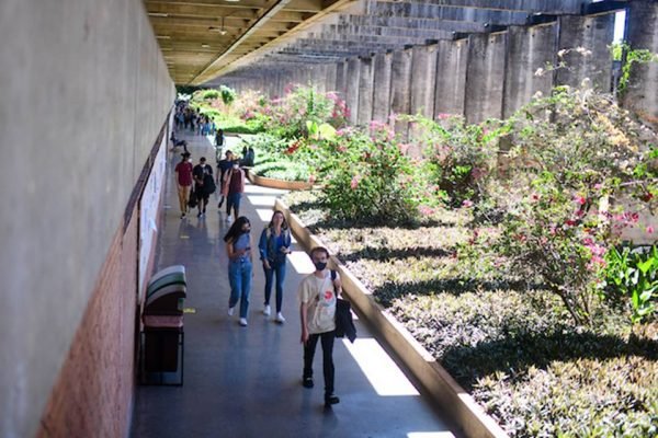 UnB Notícias - Cursos da UnB recebem nota máxima no Enade