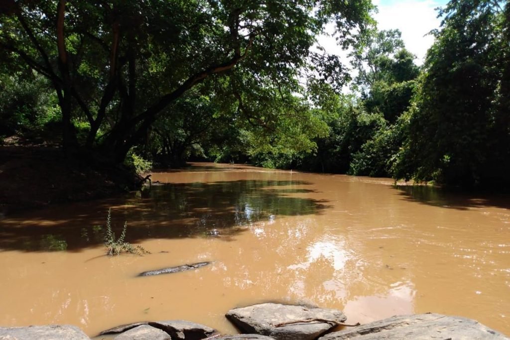 Saneago identifica água barrenta no Rio dos Bois, contaminado por metais pesados, em Goiás