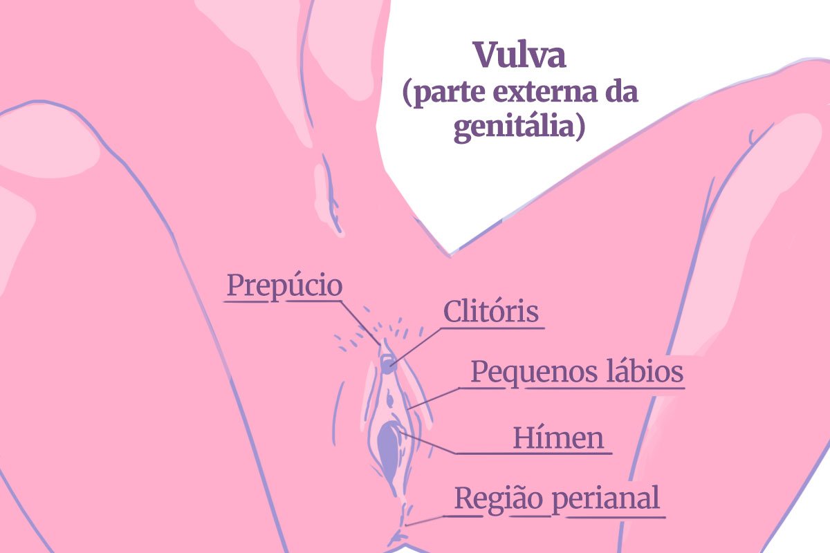 Mapa do prazer da vagina um guia para conhecer e dar prazer para elas Metrópoles