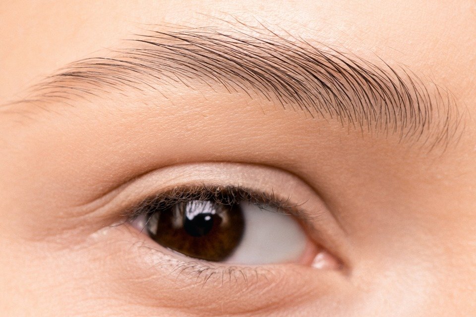Woman's eye and eyebrow